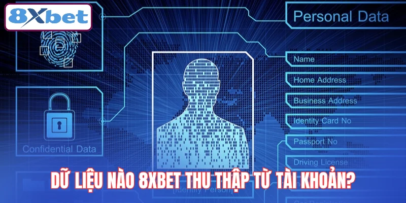 du-lieu-nao-8xbet-thu-thap-tu-tai-khoan