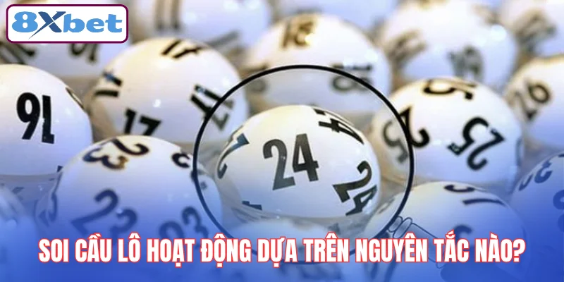 soi-cau-lo-hoat-dong-dua-tren-nguyen-tac-nao