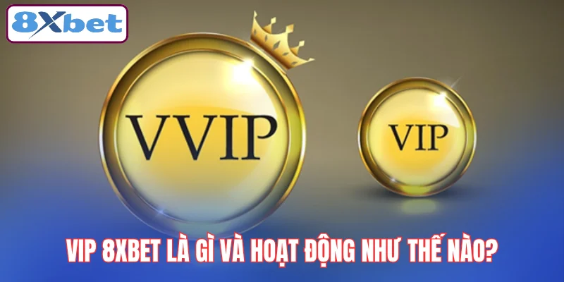 vip-8xbet-la-gi-va-hoat-dong-nhu-the-nao